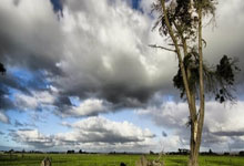 天涯社区神贴，那些在网络上疯传的神奇故事！